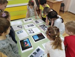 img (1)